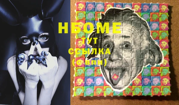 гашик Новодвинск