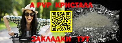 дмт Кингисепп