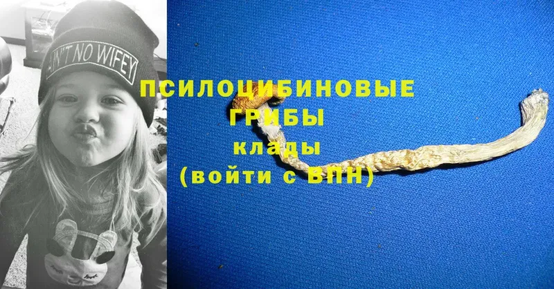 Галлюциногенные грибы мицелий Кулебаки