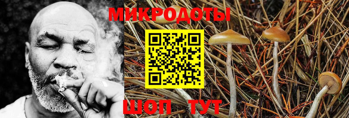 Псилоцибиновые грибы GOLDEN TEACHER Кулебаки