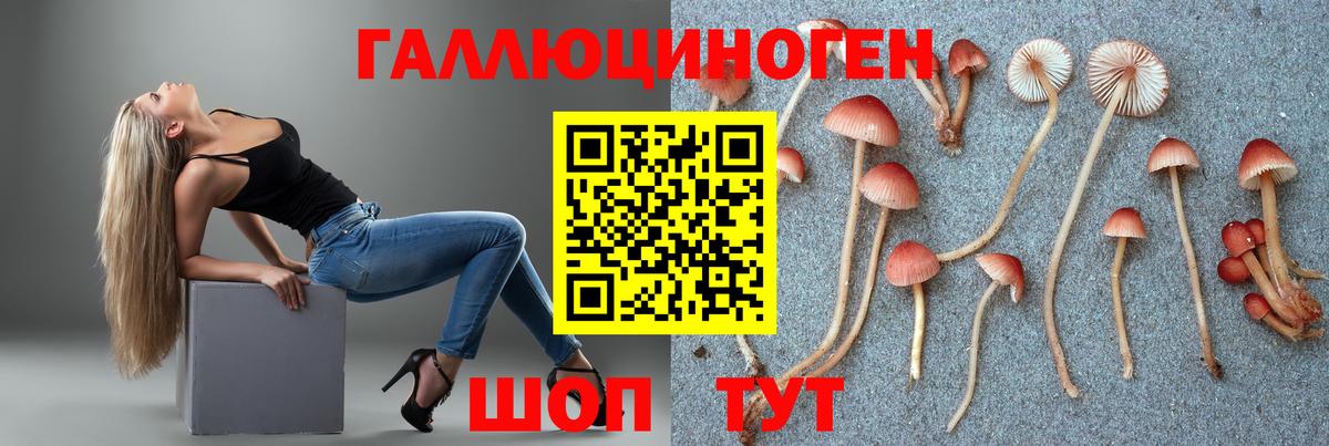 Галлюциногенные грибы ЛСД Кулебаки