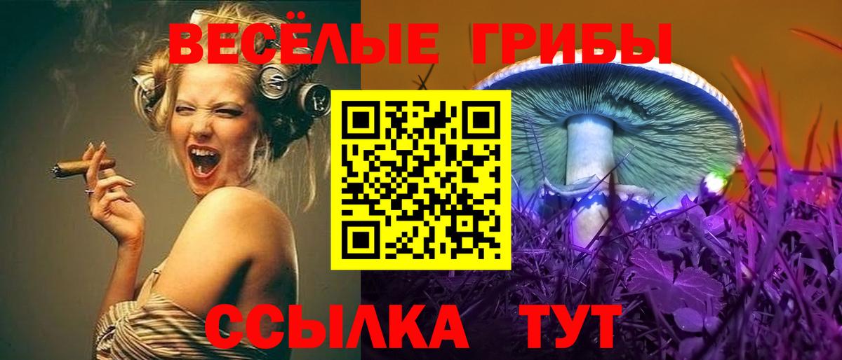 Галлюциногенные грибы Psilocybine cubensis  Кулебаки 
